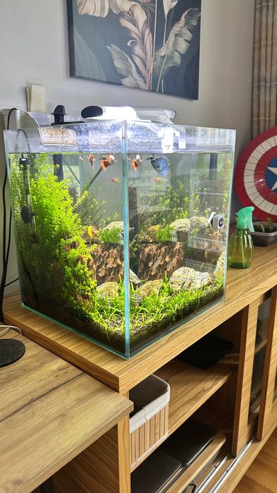Aquarium 49l z dekoracją