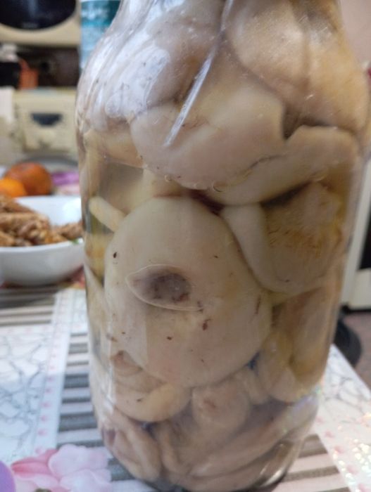 Грузді ГРИБИ Солені холодним посолом