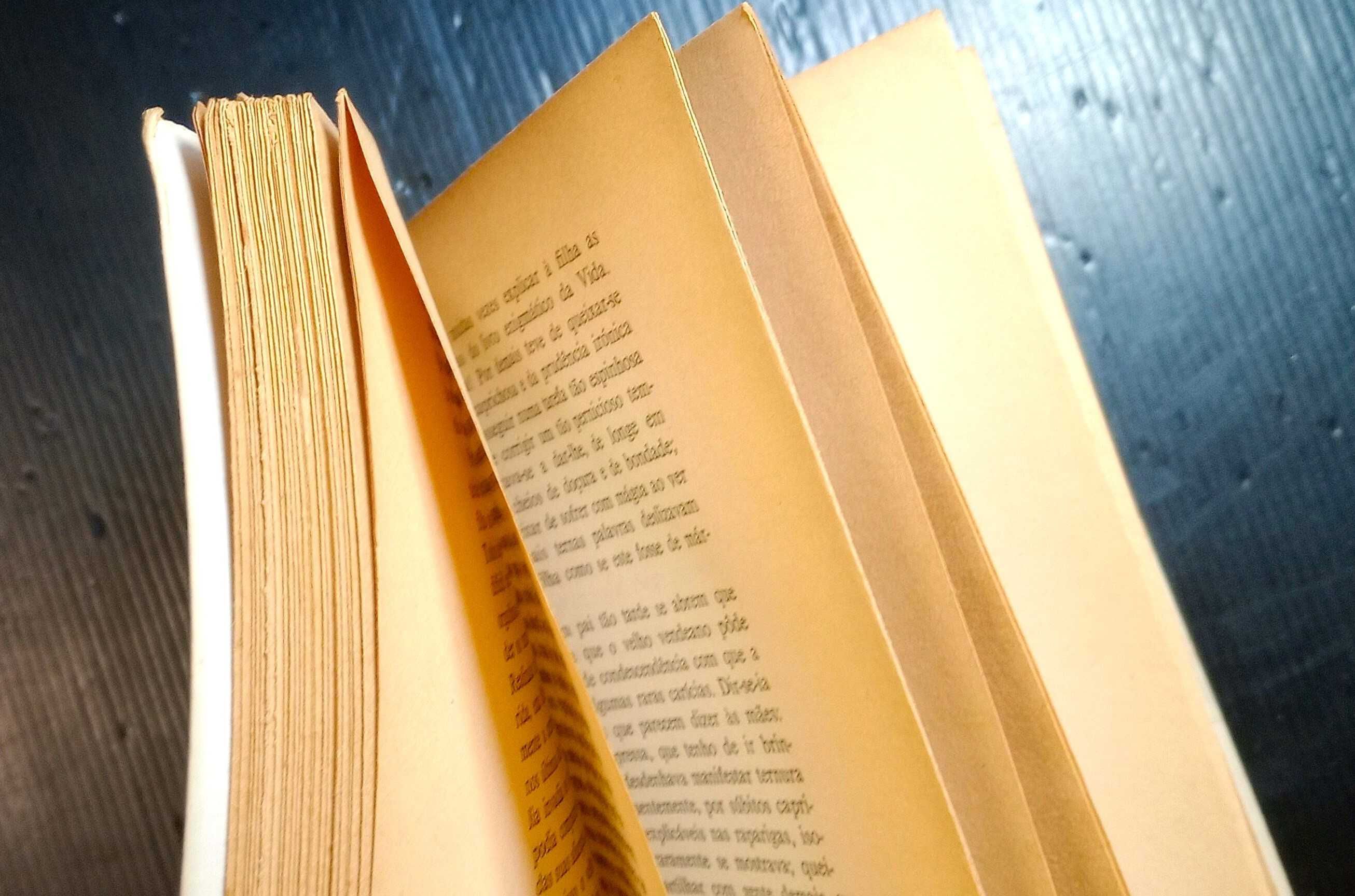 Livro Balzac - A casa do gato que brinca