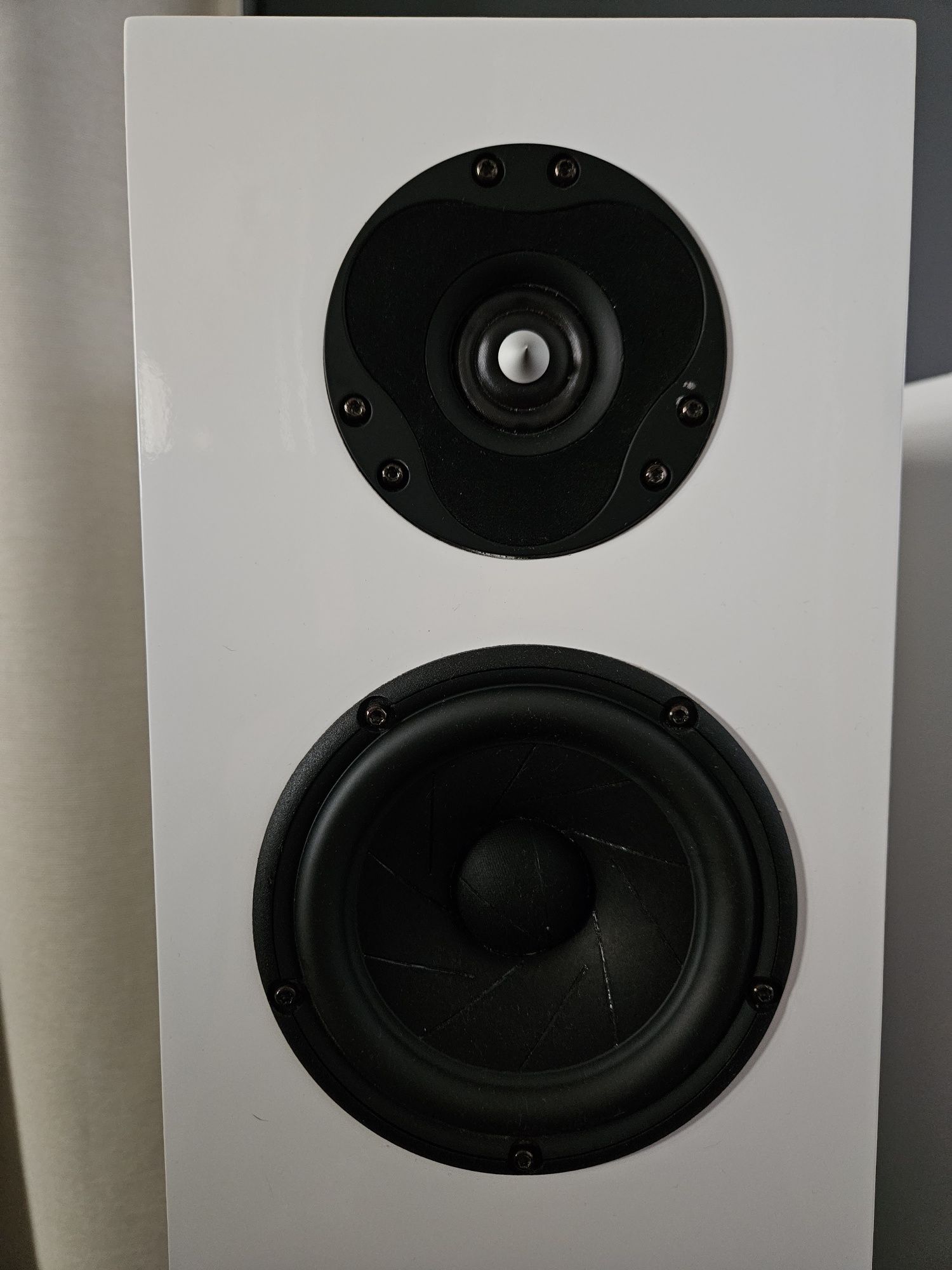 Kolumny Scan Speak + SB Acoustics