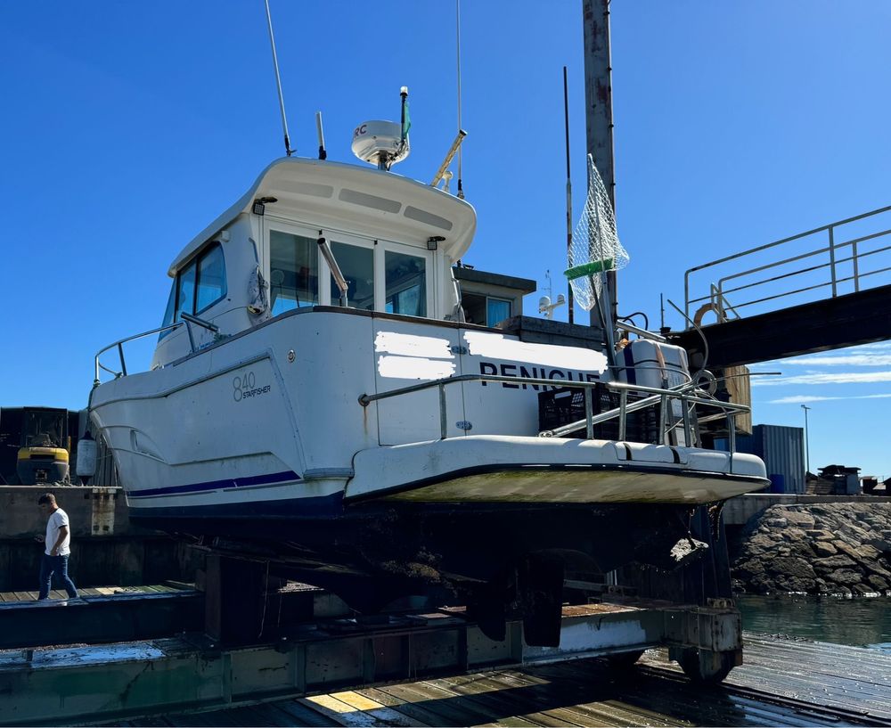 Starfisher 840wa 310cv