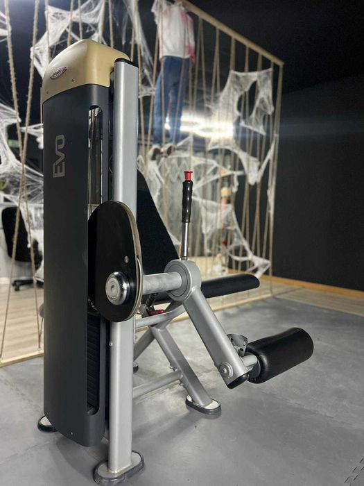 Leg Extension Pannata EVO