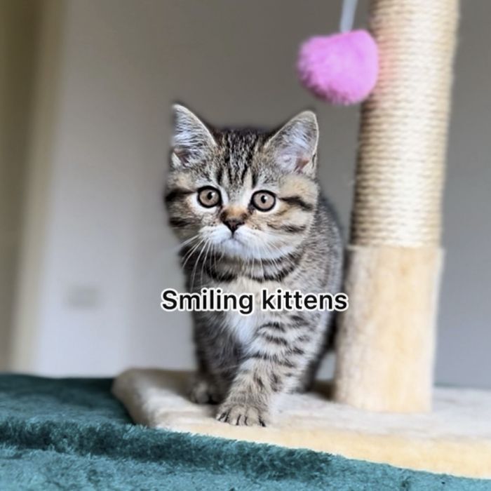 Малюки з красивими візерунками