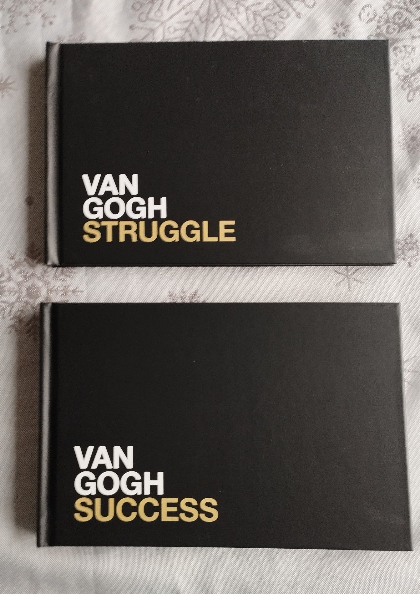 Van Gogh Struggle and Success Audiobook 2cd książka Leeman Miren