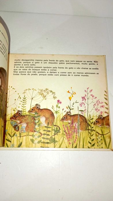 Dois ratos em Viagem - Verbo