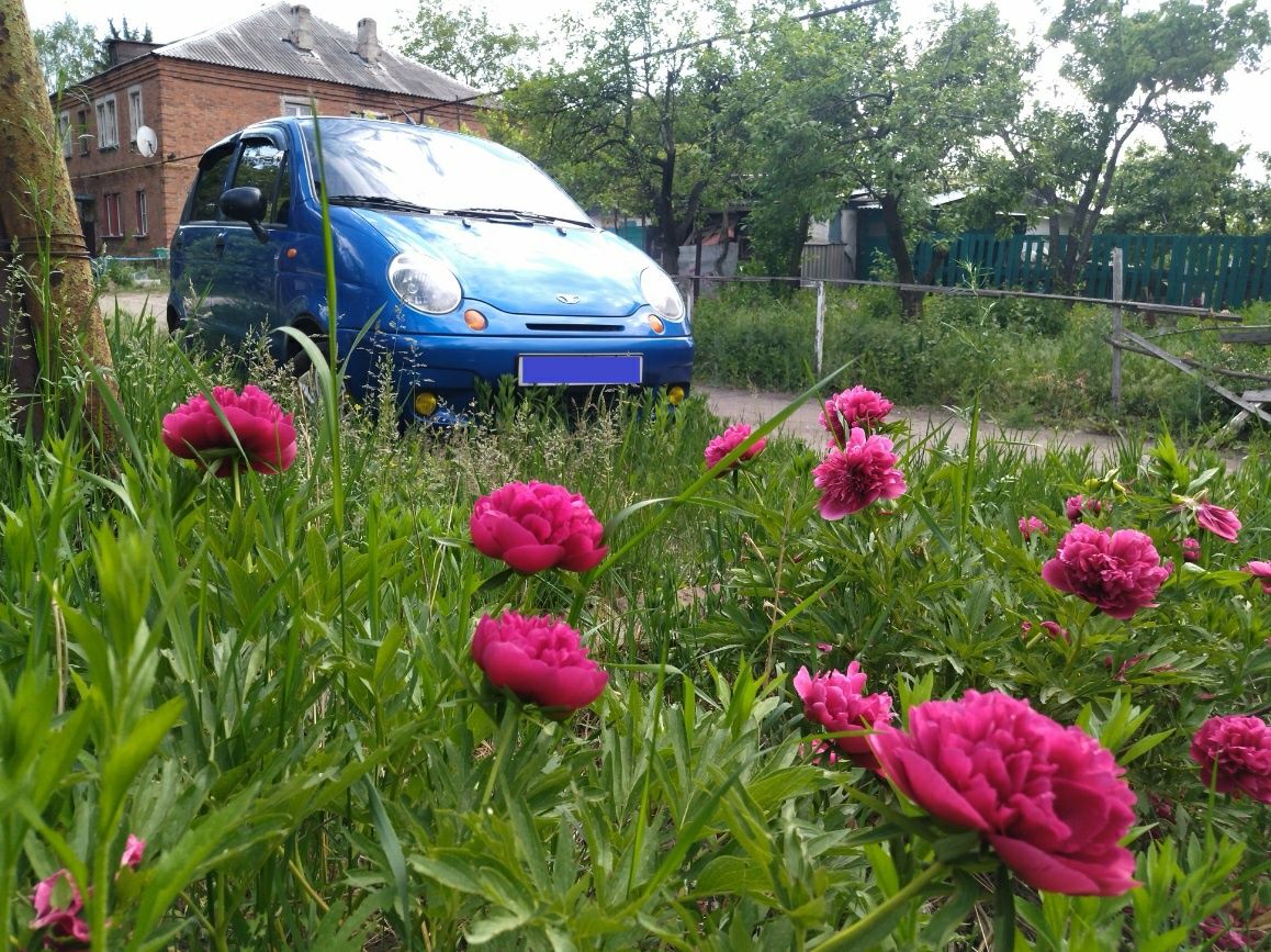 Daewoo Matiz 0.8