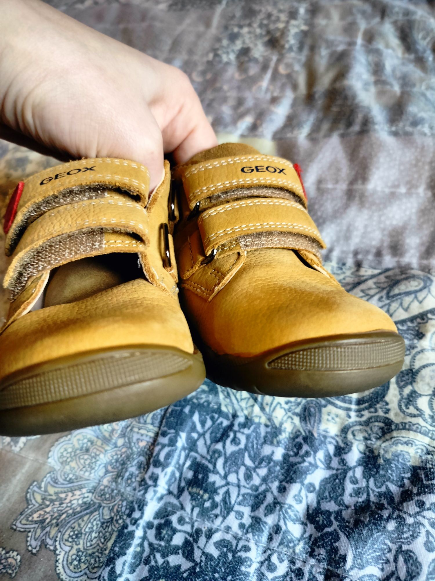 Шкіряні дитячі черевики Geox 21