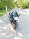 HONDA CBR 1100 Super Blackbird