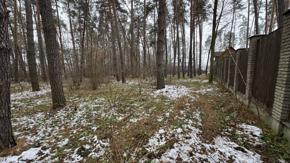 Земля. Участок 10 соток, все центральные коммуникации и газ.