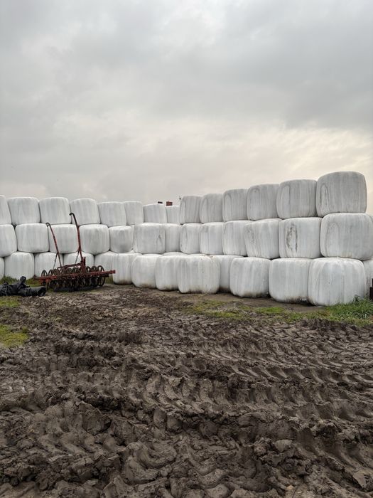 Sianokiszonka bele 120/120