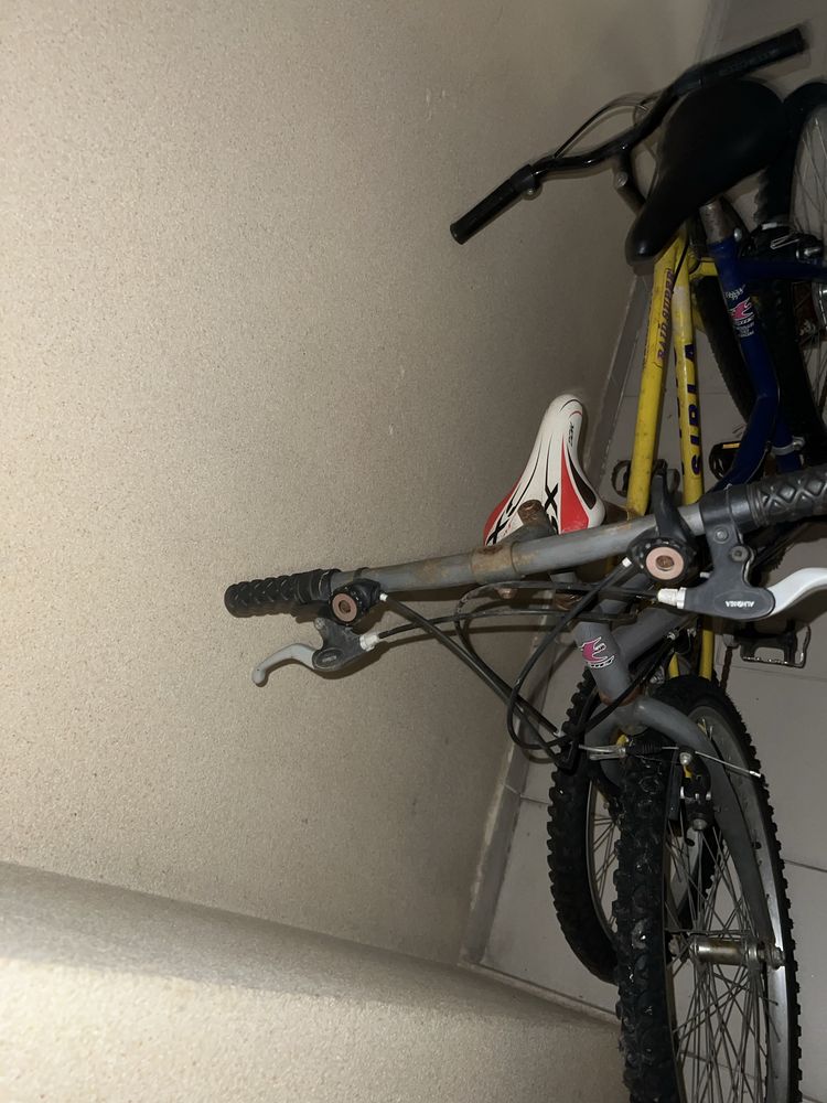 2 bicicletas azul e amarela