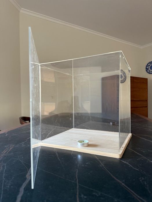Vitrine acrilica com base de madeira