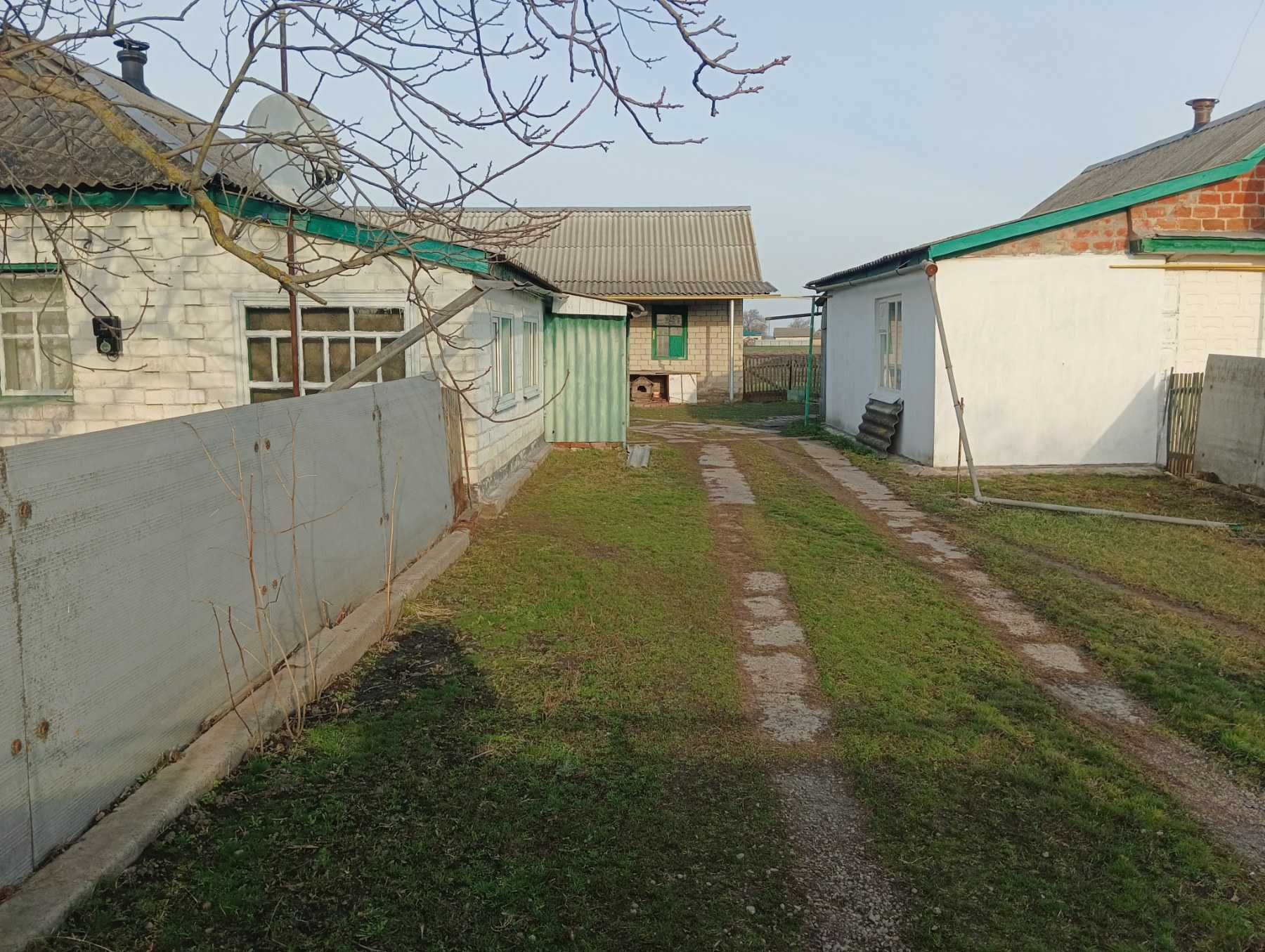 Продам затишний будинок у селі Шевченки.
