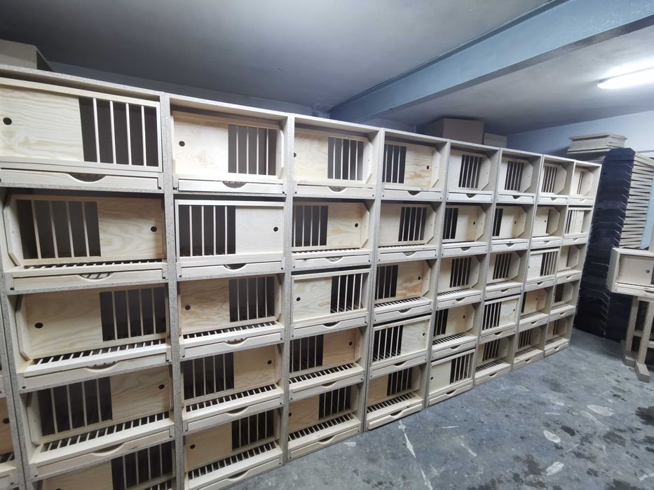 Wysyłka paletowa cele lęgowe dla gołębi pakiet 20 sztuk