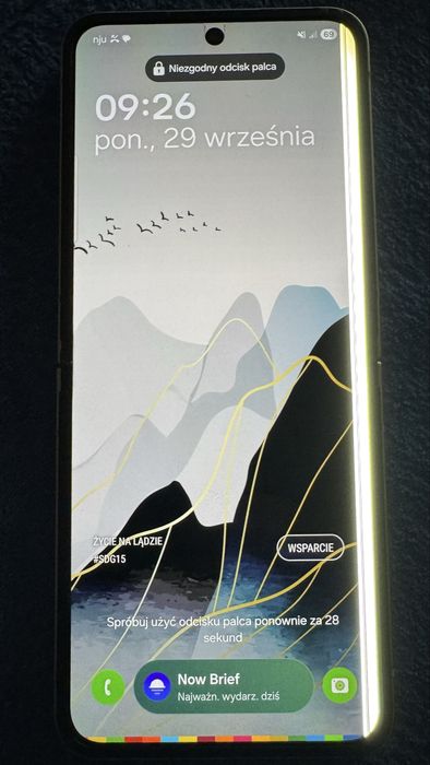 Samsung Galaxy Z Flip6 12/256 SM-F741B Flip 6 uszkodzony ekran