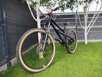 Dartmoor Blackbird 29" rama L