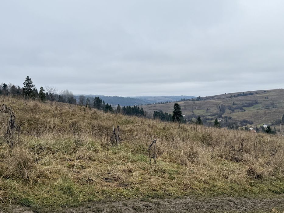 Продається ділянка осг в с. Пилипець