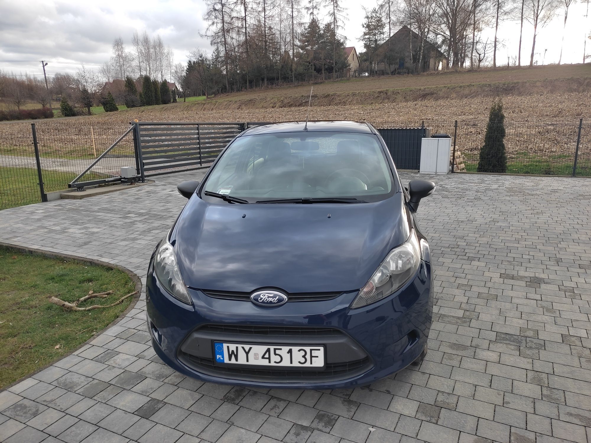 Ford Fiesta 1,25