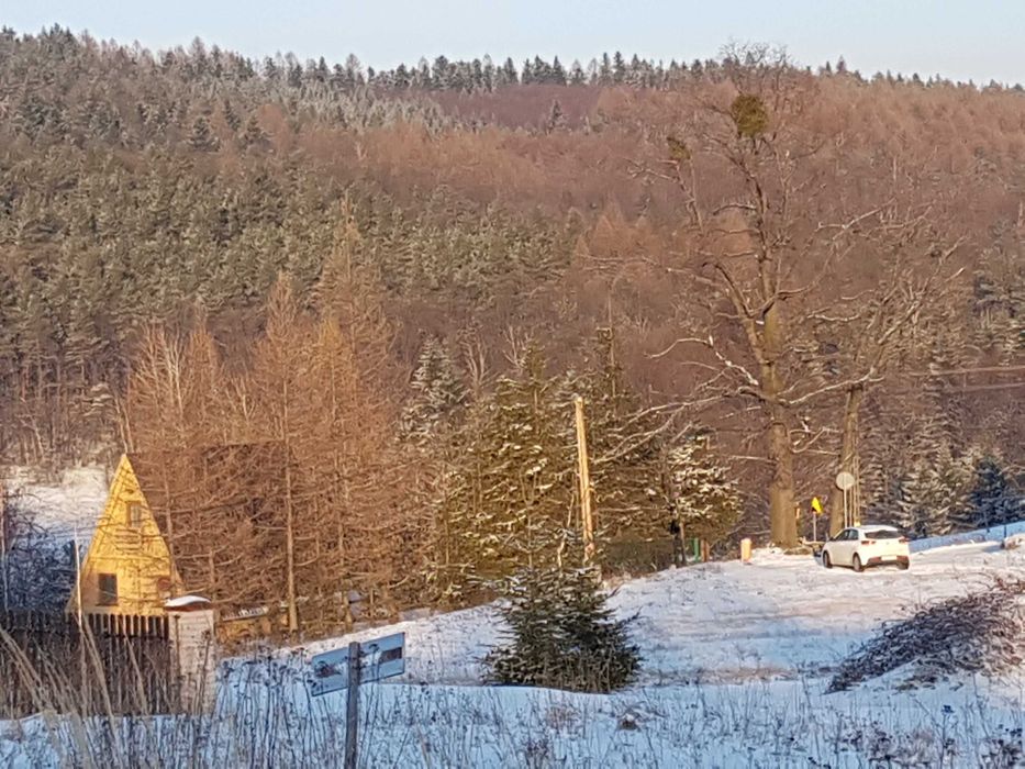Leśna Chata okolice Energylandii, Beskid Mały- wolne od 13 pazdzierni