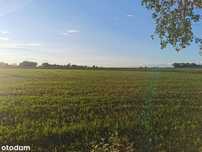 Działka budowlana, Wełnica