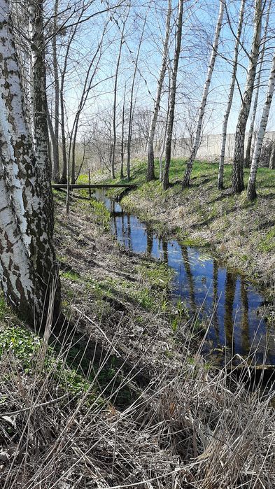 Будинок м.Корець. 74соти землі..