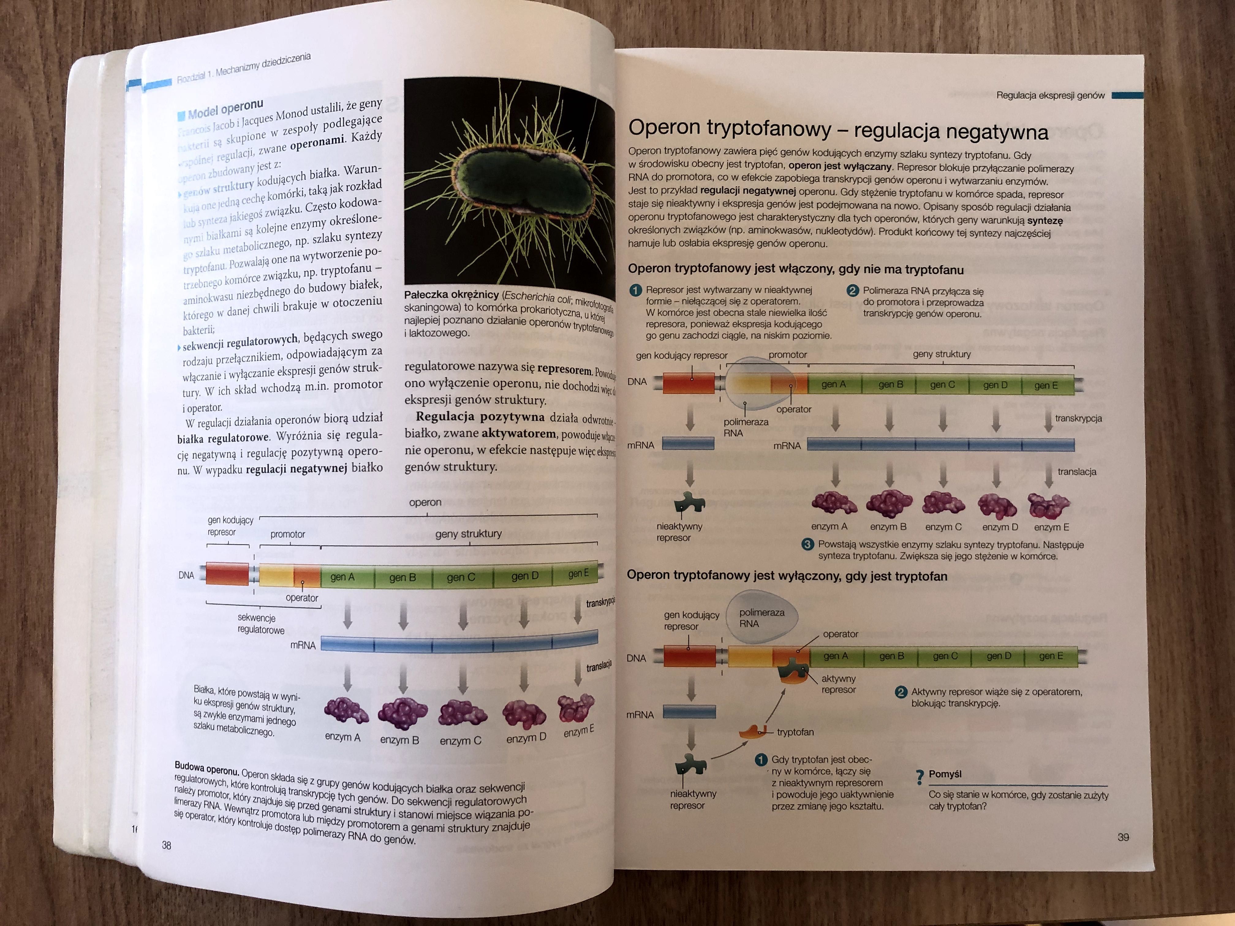 Biologia na czasie 3 (zakres rozszerzony) Nowa Era, PO GIMNAZJUM