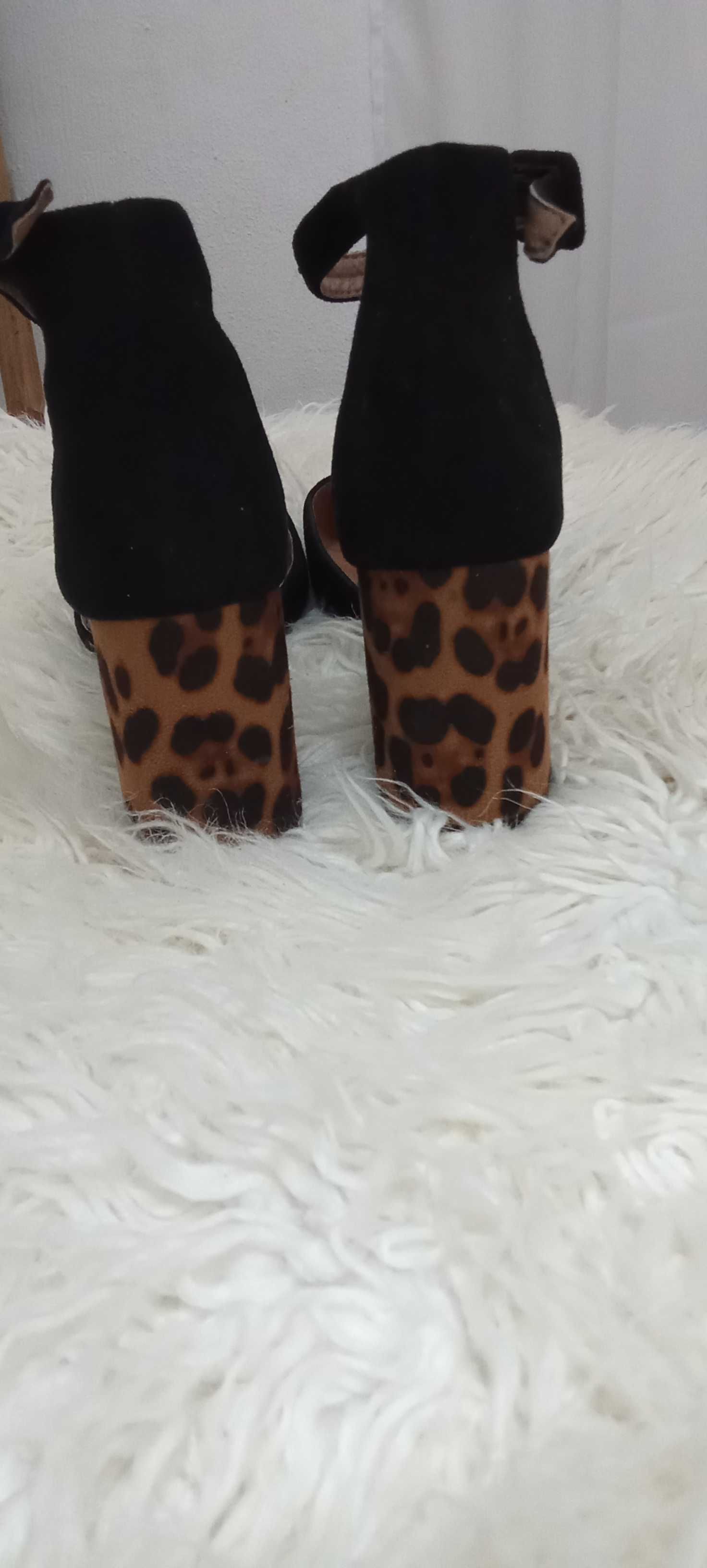 Sapatos tigresa usados 1 vez