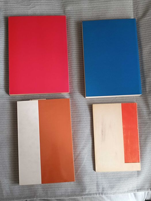 4 Livros de Direito: Constituição da República