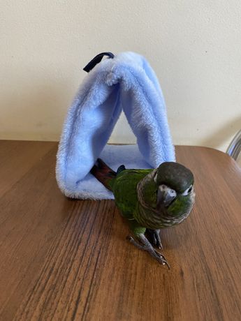 Домик шалаш для попугая
