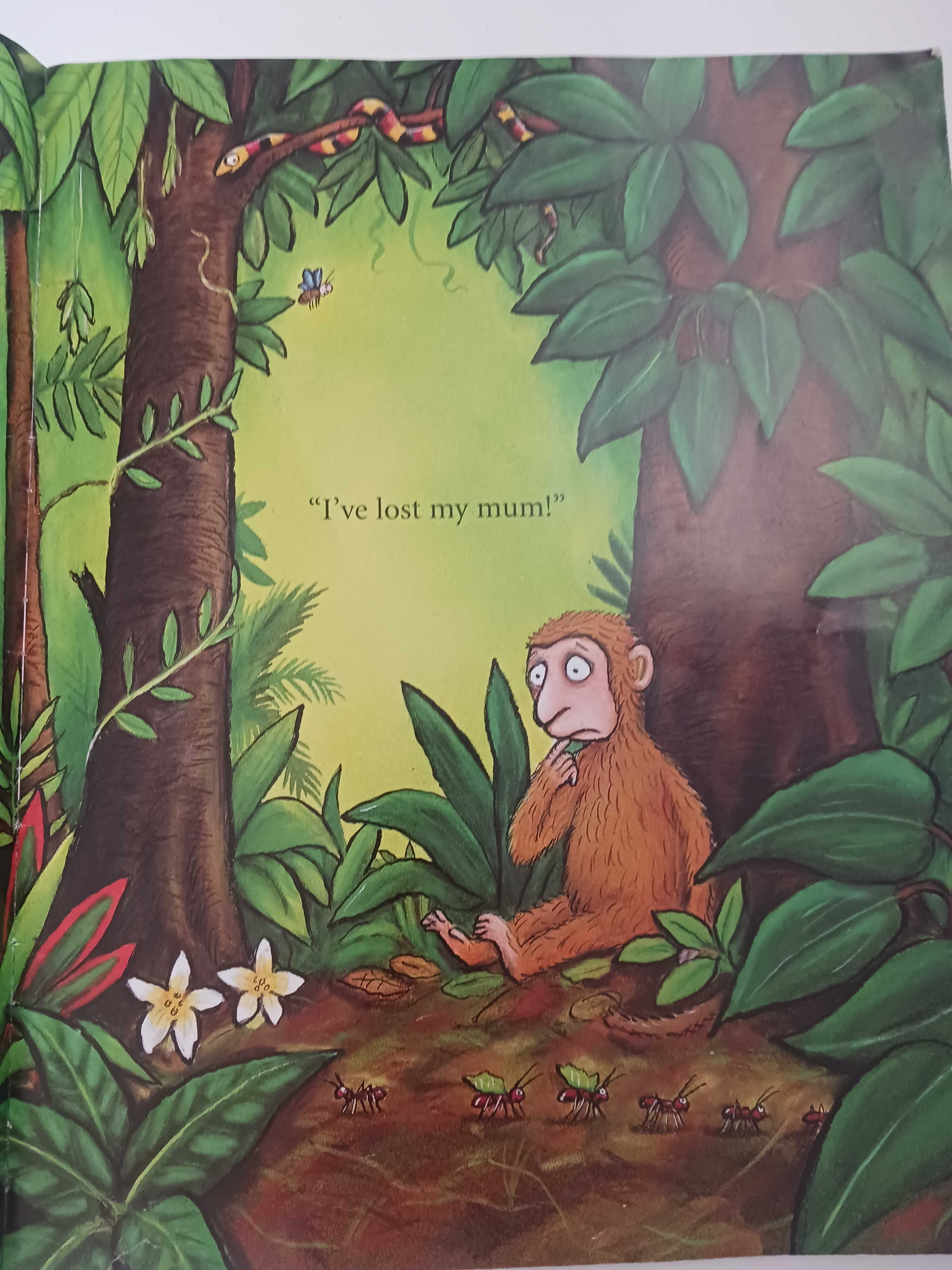 Monkey Puzzle Książka po angielsku Axel Scheffler, Julia Donaldson