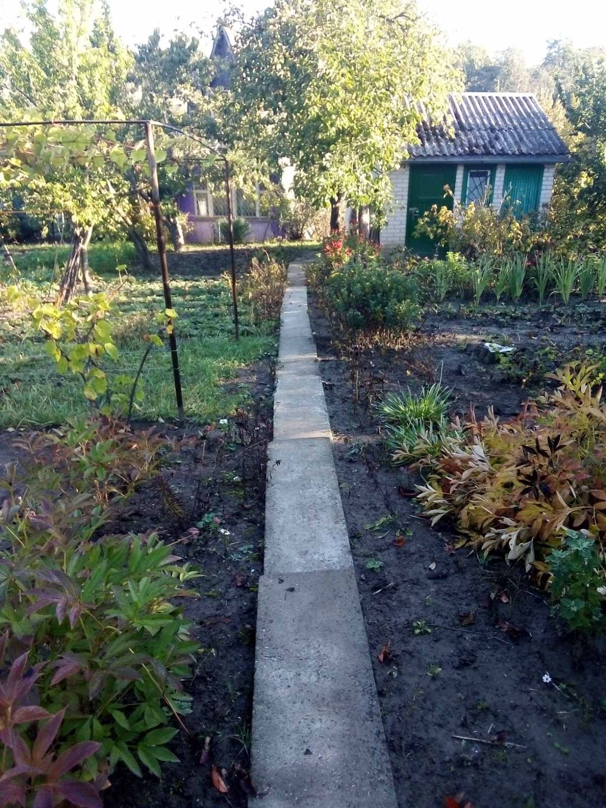Дачна ділянка, дяча