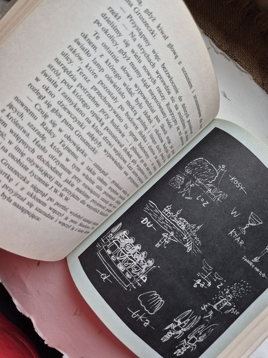 Przygody Poziomki - Hartwig, Międzyrzecki 1967 Nasza Księgarnia wyd 2