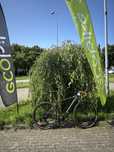 Gravel elektryczny potestowy Ecobike Forest