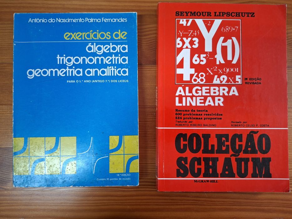 Livro Álgebra linear / exercícios