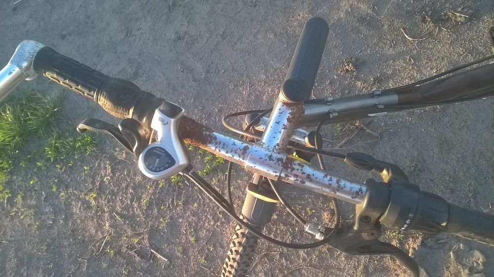 rower