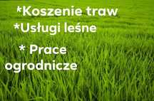 Koszenie traw usługi leśne prace ogrodnicze wycinka cięcie drewna,