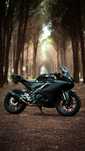 Yamaha R125 de 2024
