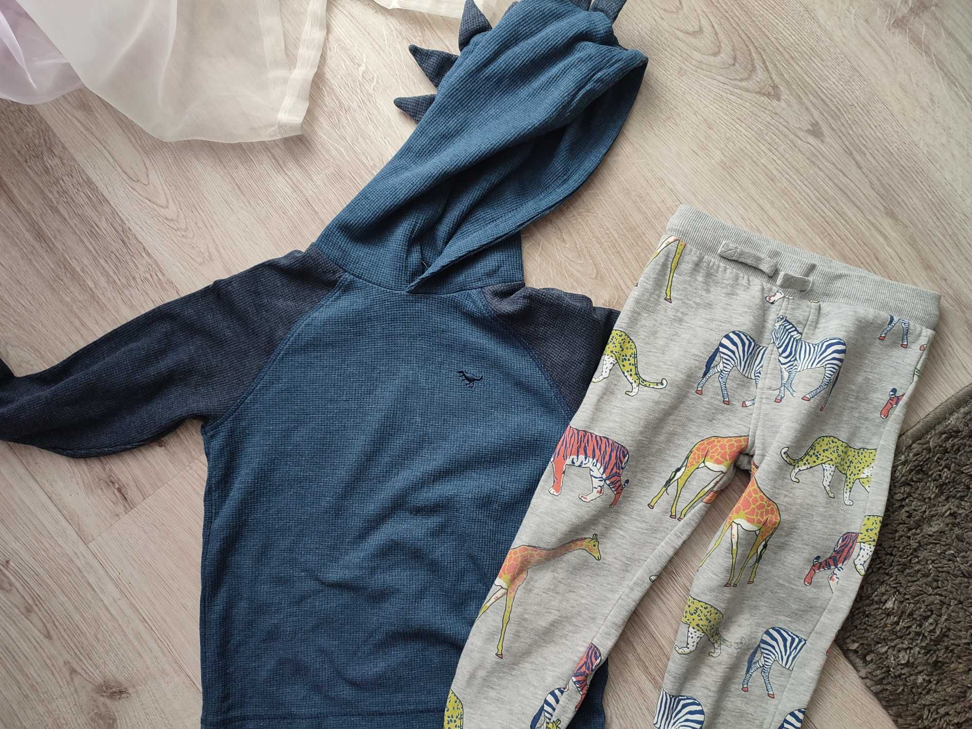 Bluza ala dinozaur, roz. 104, next