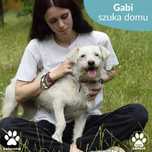 Przemiła Gabi szuka domu!