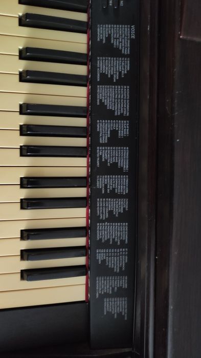 Фортепіано електронне, TG-8815