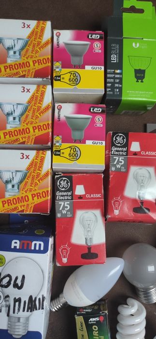 Zestaw różnych żarówek