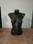 Busto feminino .