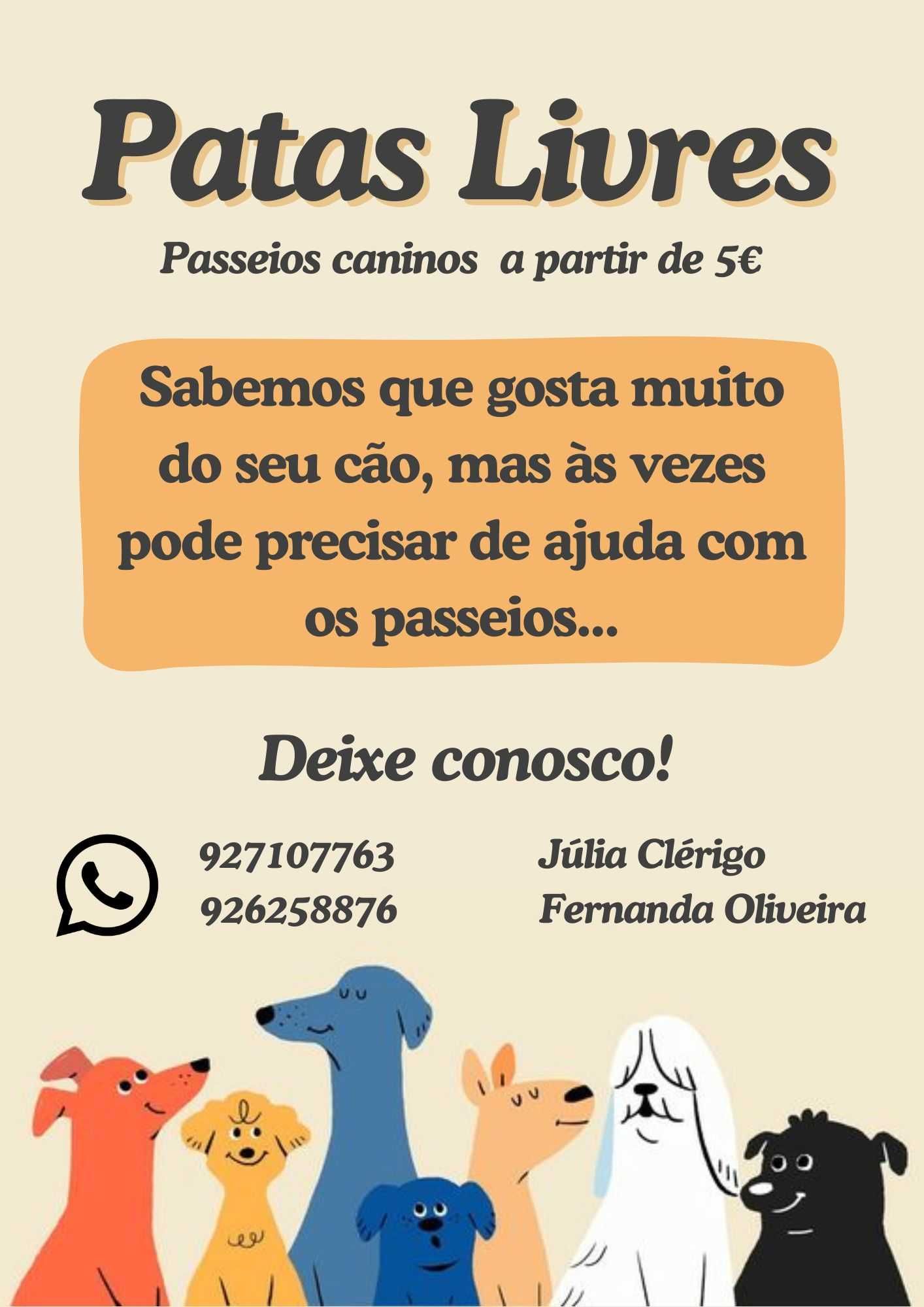 Serviço de passeios caninos