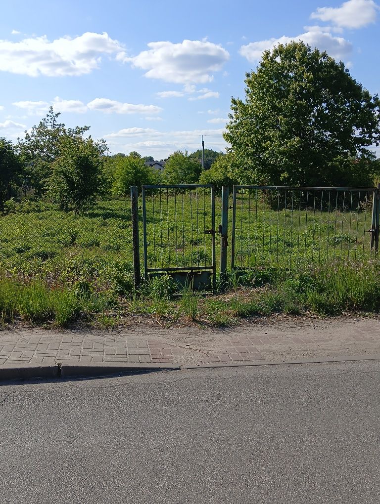 Zajmuje się pracami ogrodniczymi