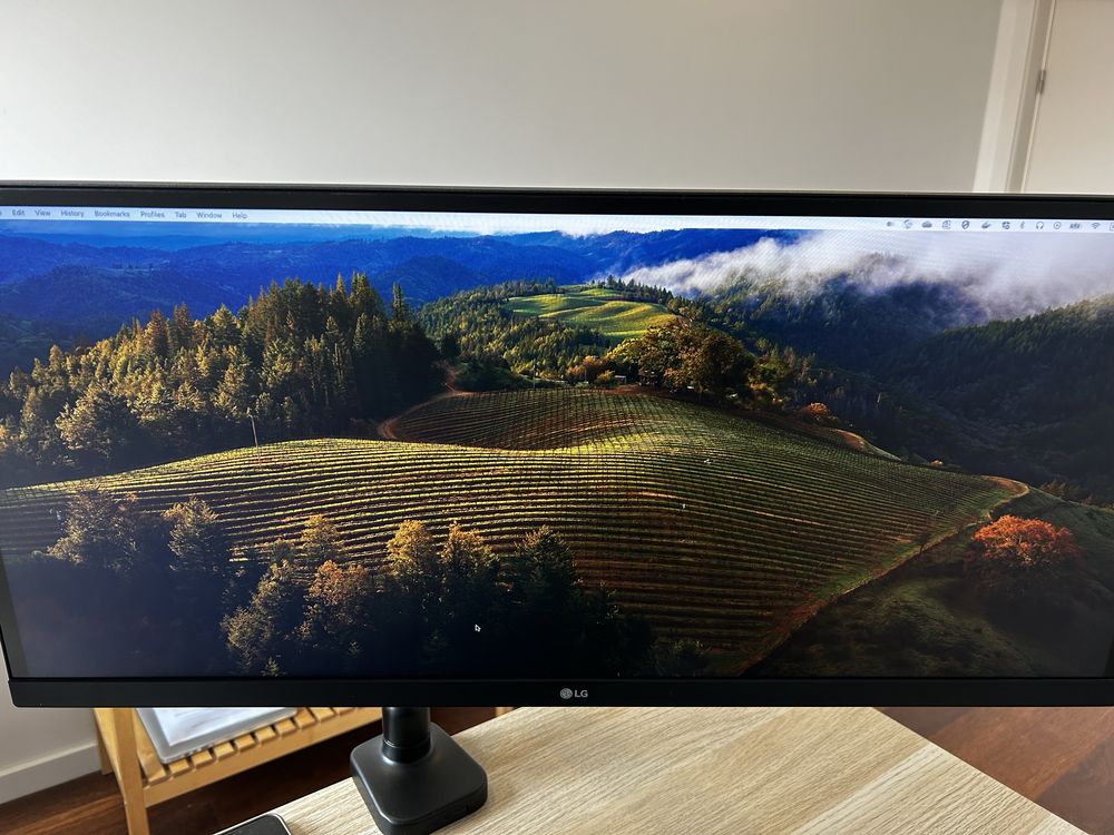Monitor LG 29'' UltraWide Full HD (29WL500-B) - Excelente estado