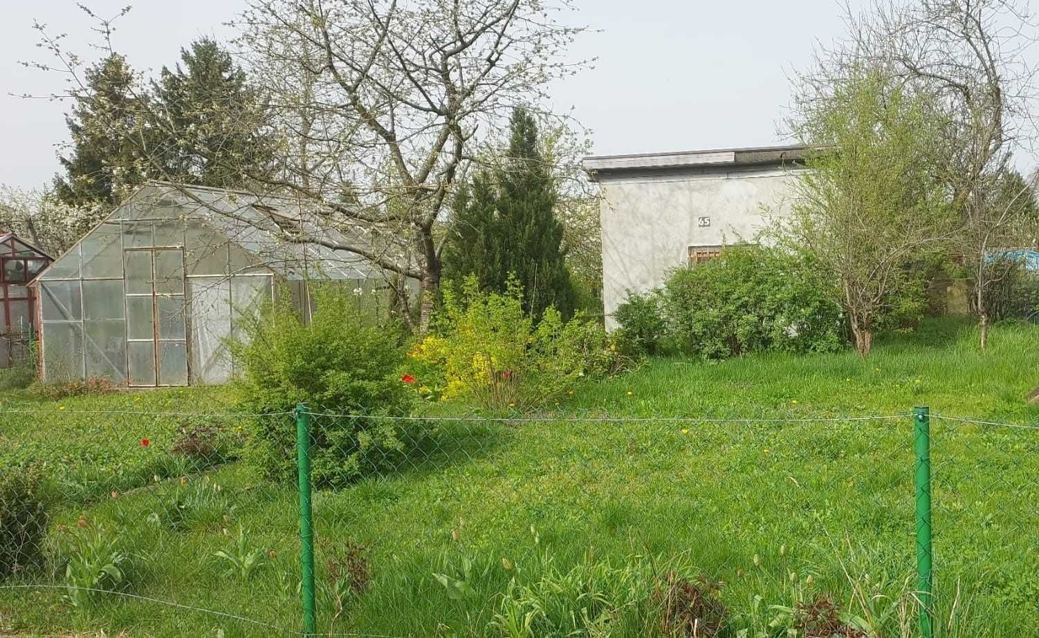 Sprzedam atrakcyjną działkę ogrodową ROD