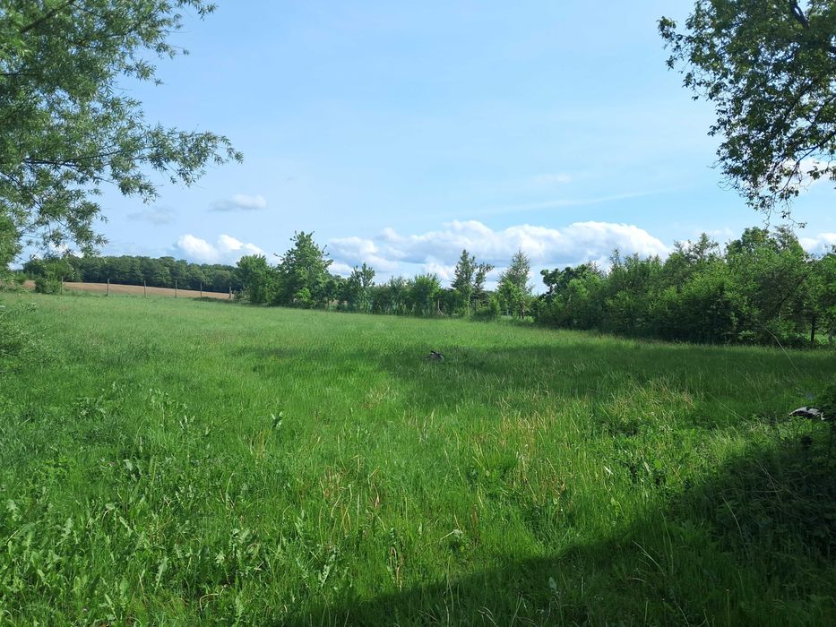 Działka wraz z budynkiem gospodarczym