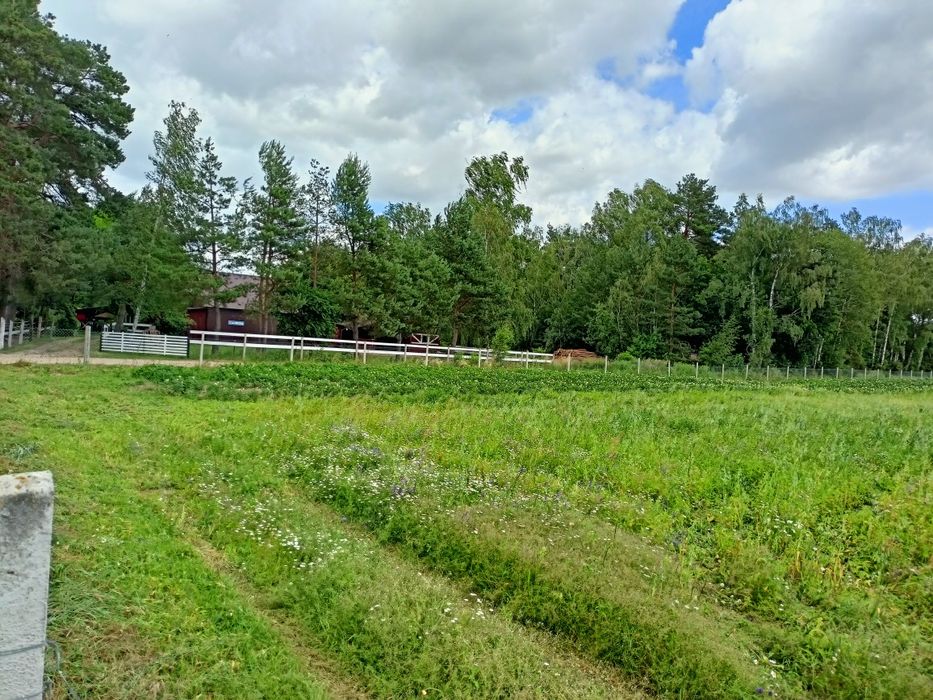 Działka z warunkami zabudowy