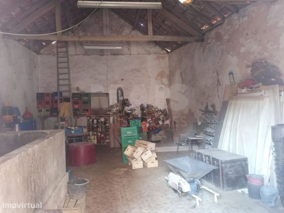 Adega em Mata Pereiro De Palhacana