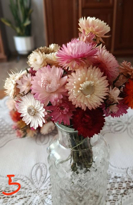 Suszone bukiety kocanki